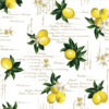 Tovagliato impermeabile cm 120 - immagine 2