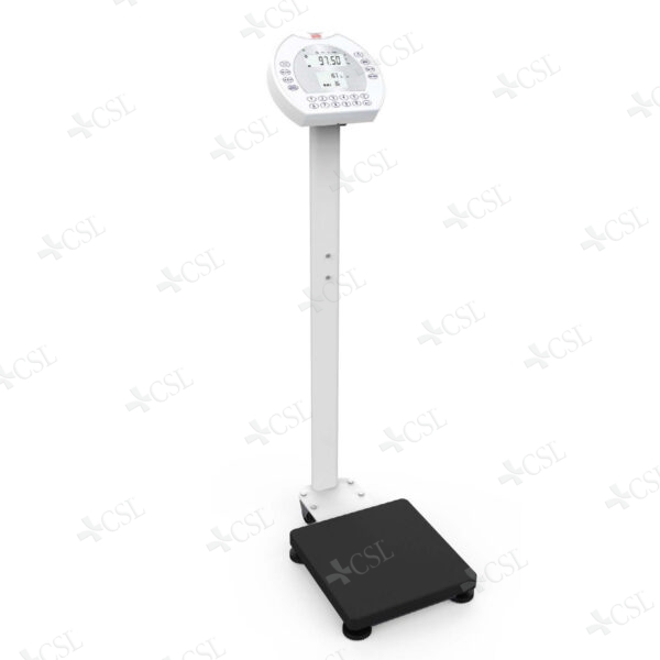 Bilancia elettronica a colonna 250 kg digitale
