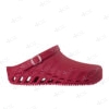 Zoccolo Scholl Clog Evo vinaccia - immagine 2